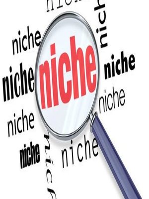 cover image of 17 More of the HOTTEST Niches Revealed